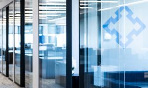 Fortress Investment Group