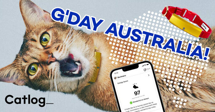 Catlog, Purrfect Health Tracker Loved by About 50,000 Cats, Brings mee-AI-ow Tech to Australia for Early Detection and Peace of Mind