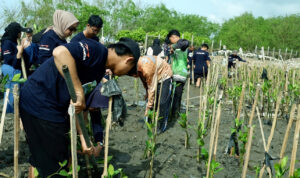 Banjir Bukan Konten, Balancia Dorong Perusahaan Swasta Bergerak Nyata Banjir Bukan Konten, Balancia Dorong Perusahaan Swasta Bergerak Nyata
