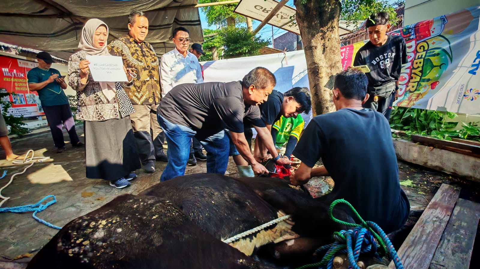 Wujud Kampus Berdampak Bagi Masyarakat, Politeknik Akbara Solo dan Griya PMI Potong Hewan Kurban