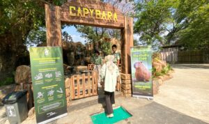 Ada Capybara Loh! Satwa Baru di Solo Safari, Long Weekend HUT ke-81 Republik Indonesia