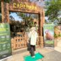 Ada Capybara Loh! Satwa Baru di Solo Safari, Long Weekend HUT ke-81 Republik Indonesia Ada Capybara Loh! Satwa Baru di Solo Safari, Long Weekend HUT ke-81 Republik Indonesia